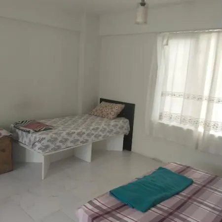 Rainfort Guemuesler Giris *