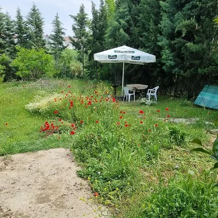 Апартаменты Rainfort Guemuesler Giris *