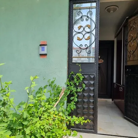 Rainfort Guemuesler Giris Деницли